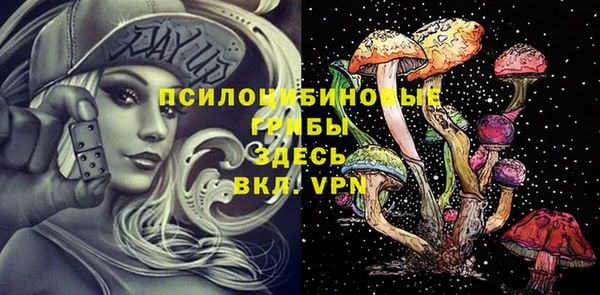 спиды Балахна