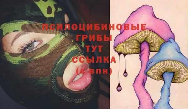 спиды Балахна